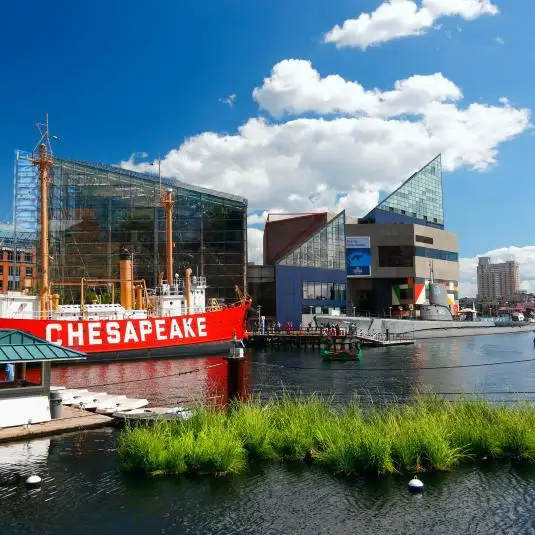 Maryland icon