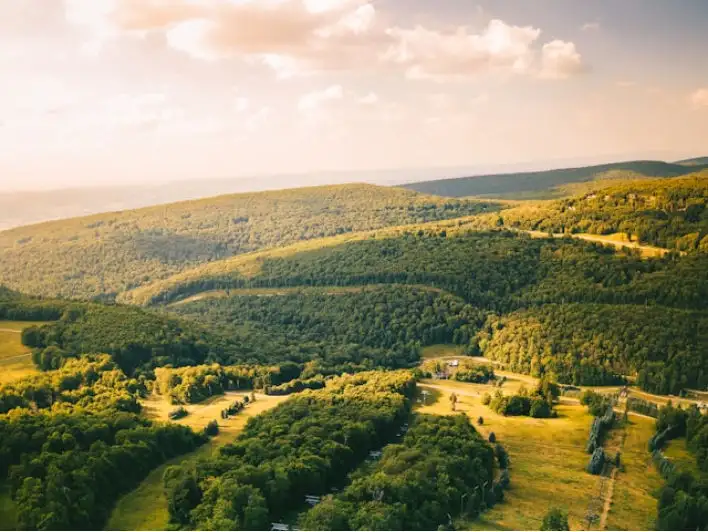 Pennsylvania icon